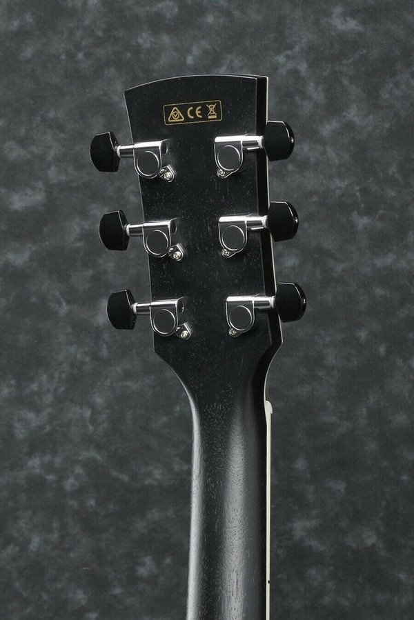 IBANEZ AW84CE-WK