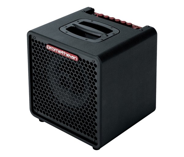 IBANEZ Promethean Combo P3110 - 1 x 10" Speaker
